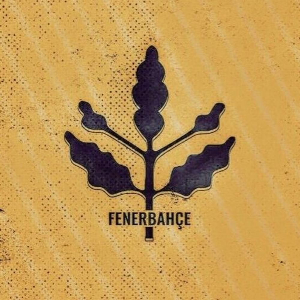 Fenerbahçe