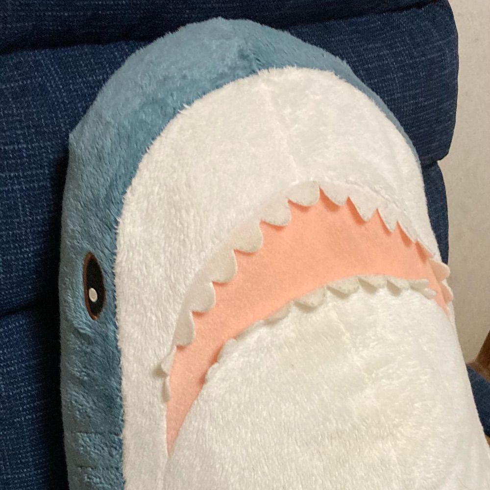 サメりん