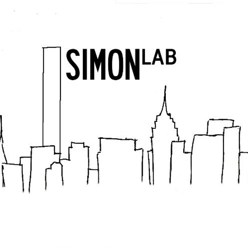 Simon Lab