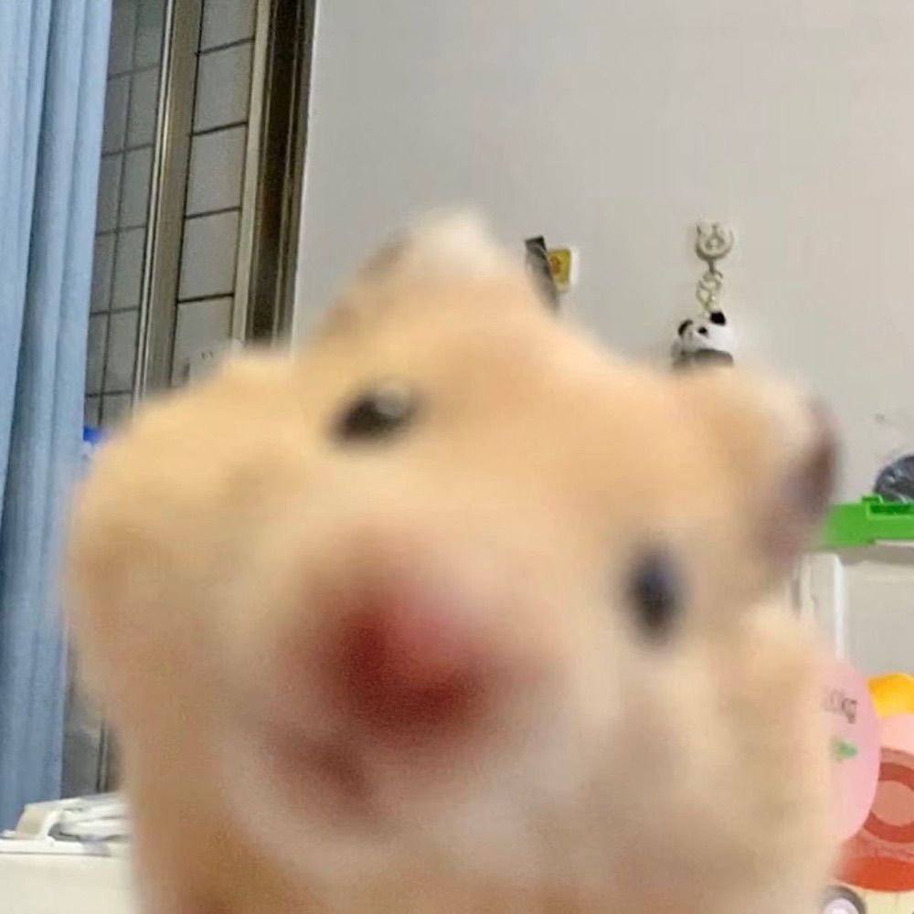 小荼
