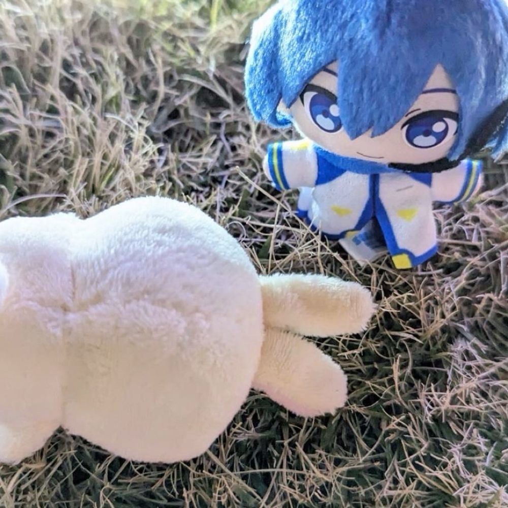 ﾂｳﾗ