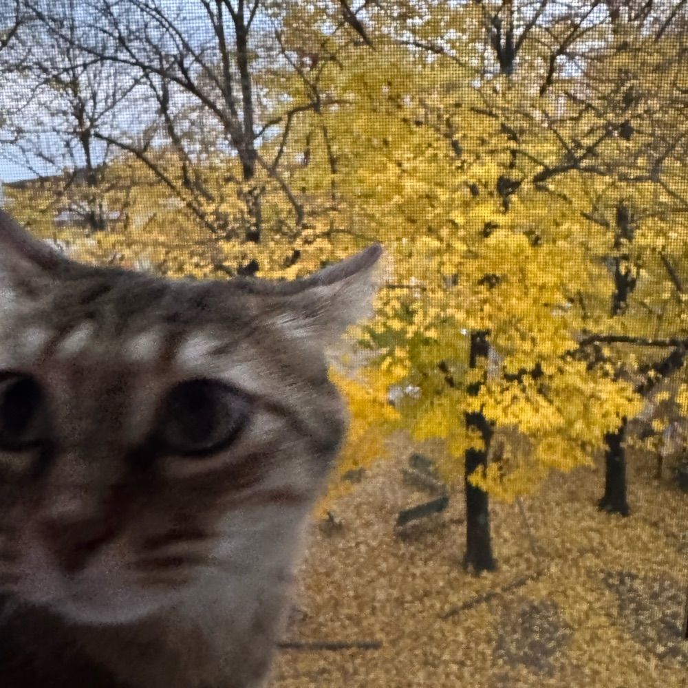I.