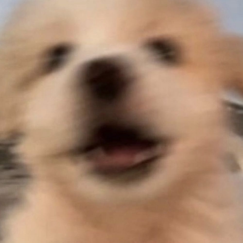 티뉴