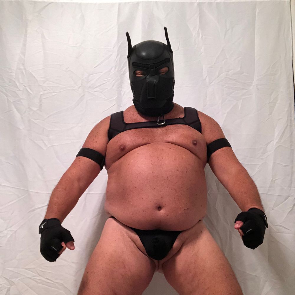 Dancing Pup Bear