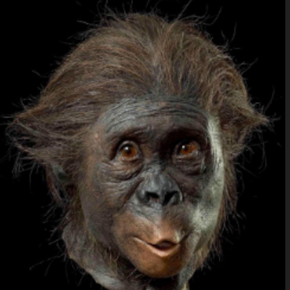 Australopitaco