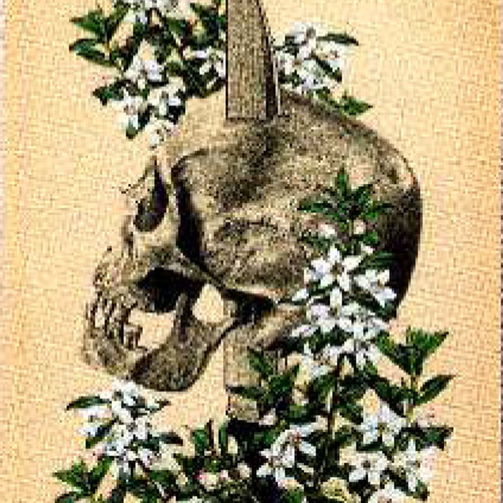 Queen of Swords