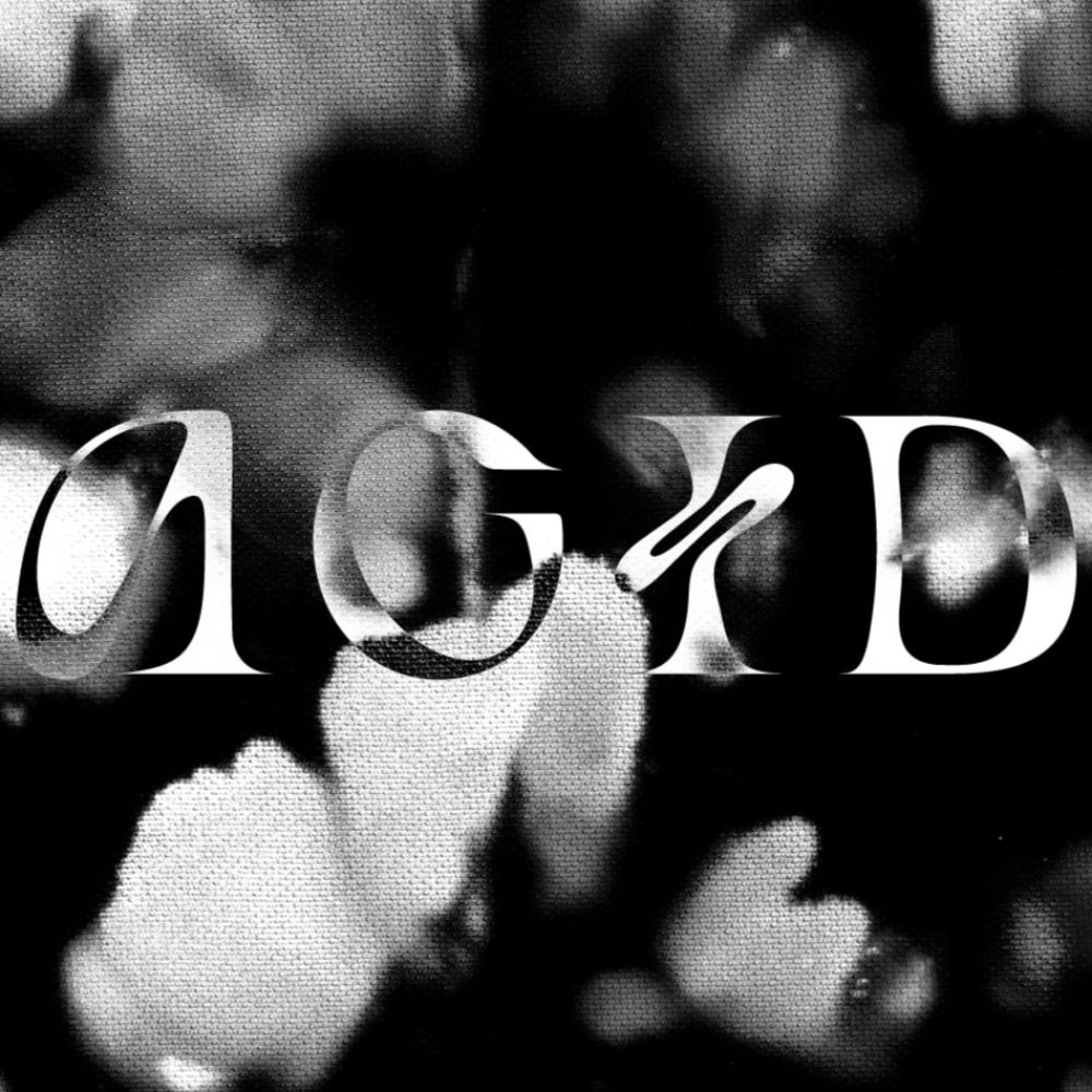 Arina Acid 🖤