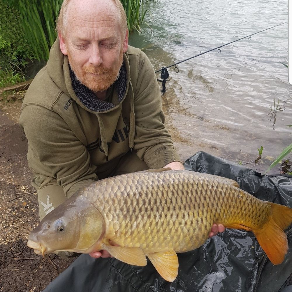 Phill Allen