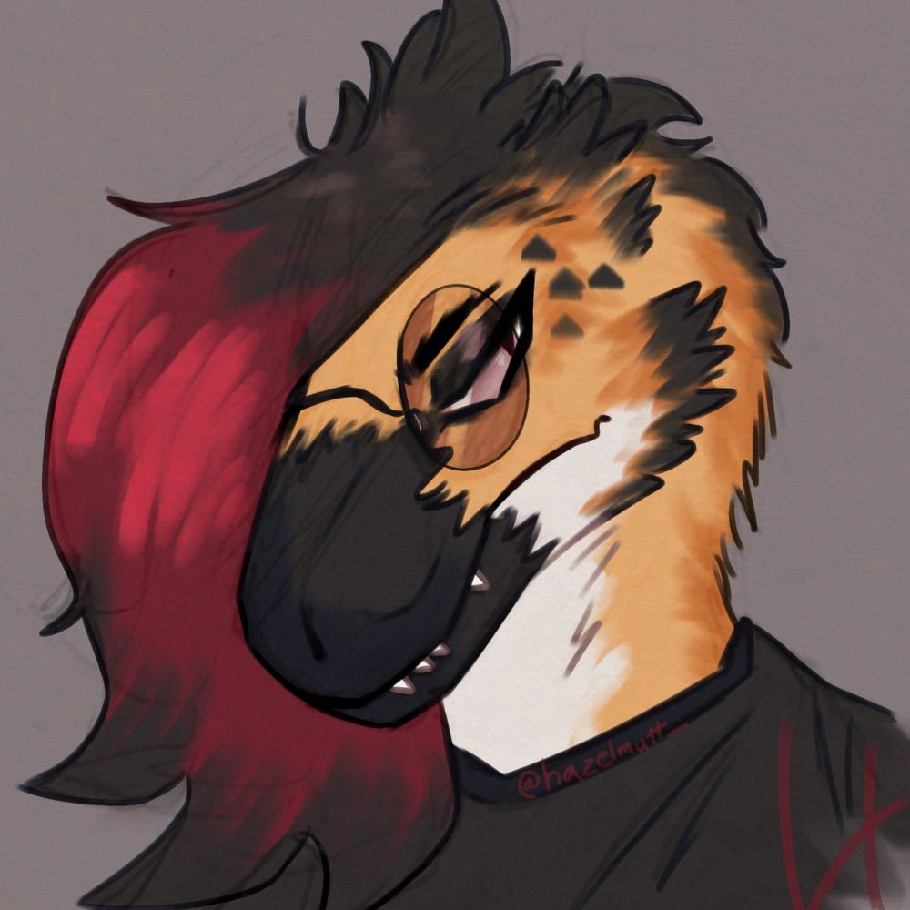 Hazelmutt