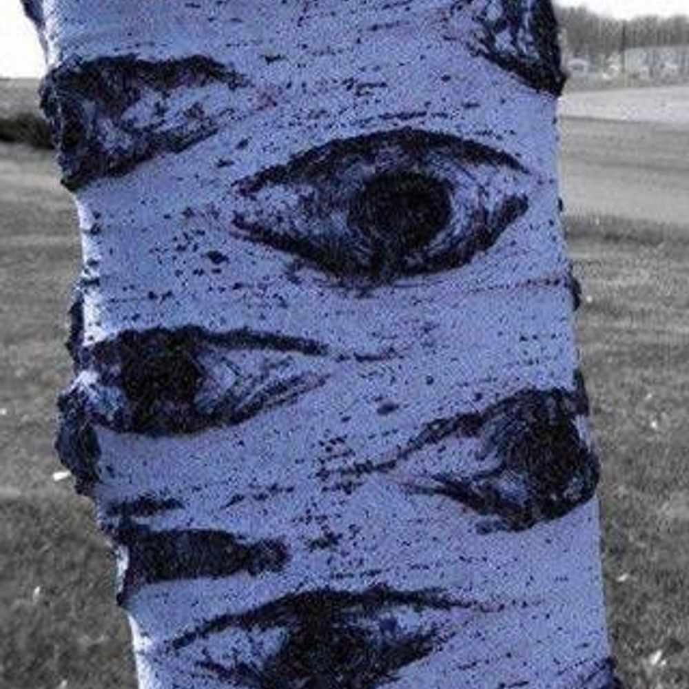 birch tree