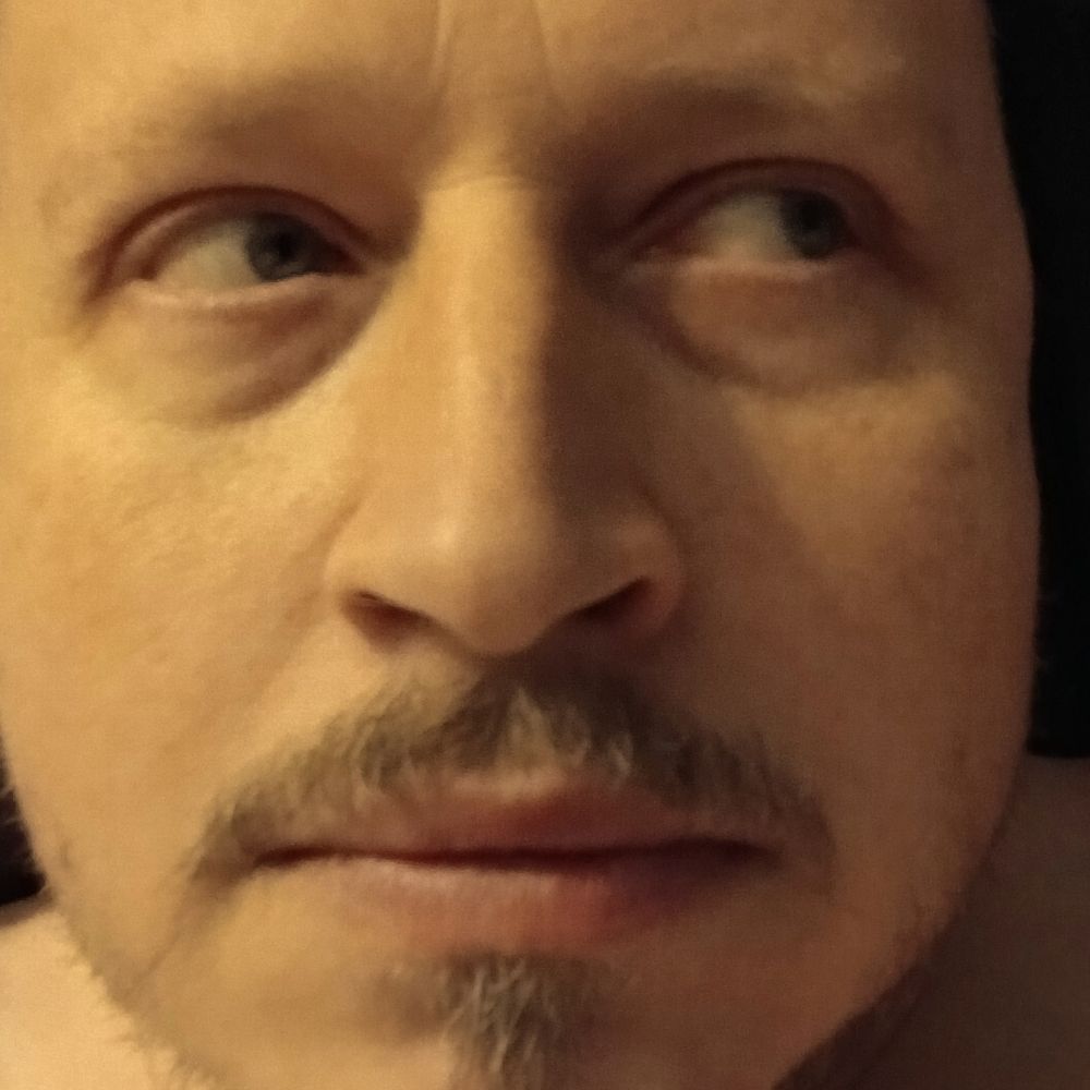 Timo Tolonen, kuvataiteilija