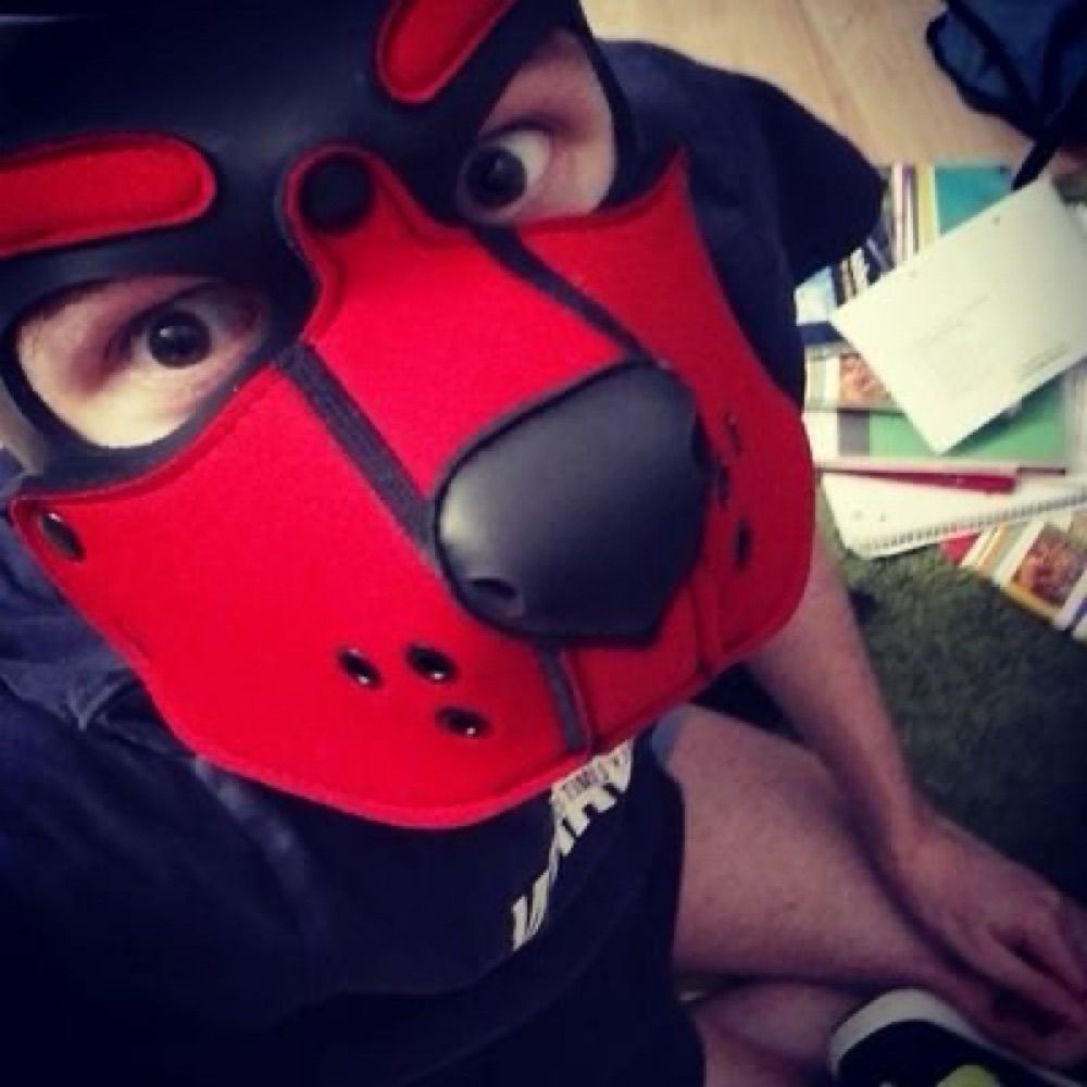 Pup_Yul