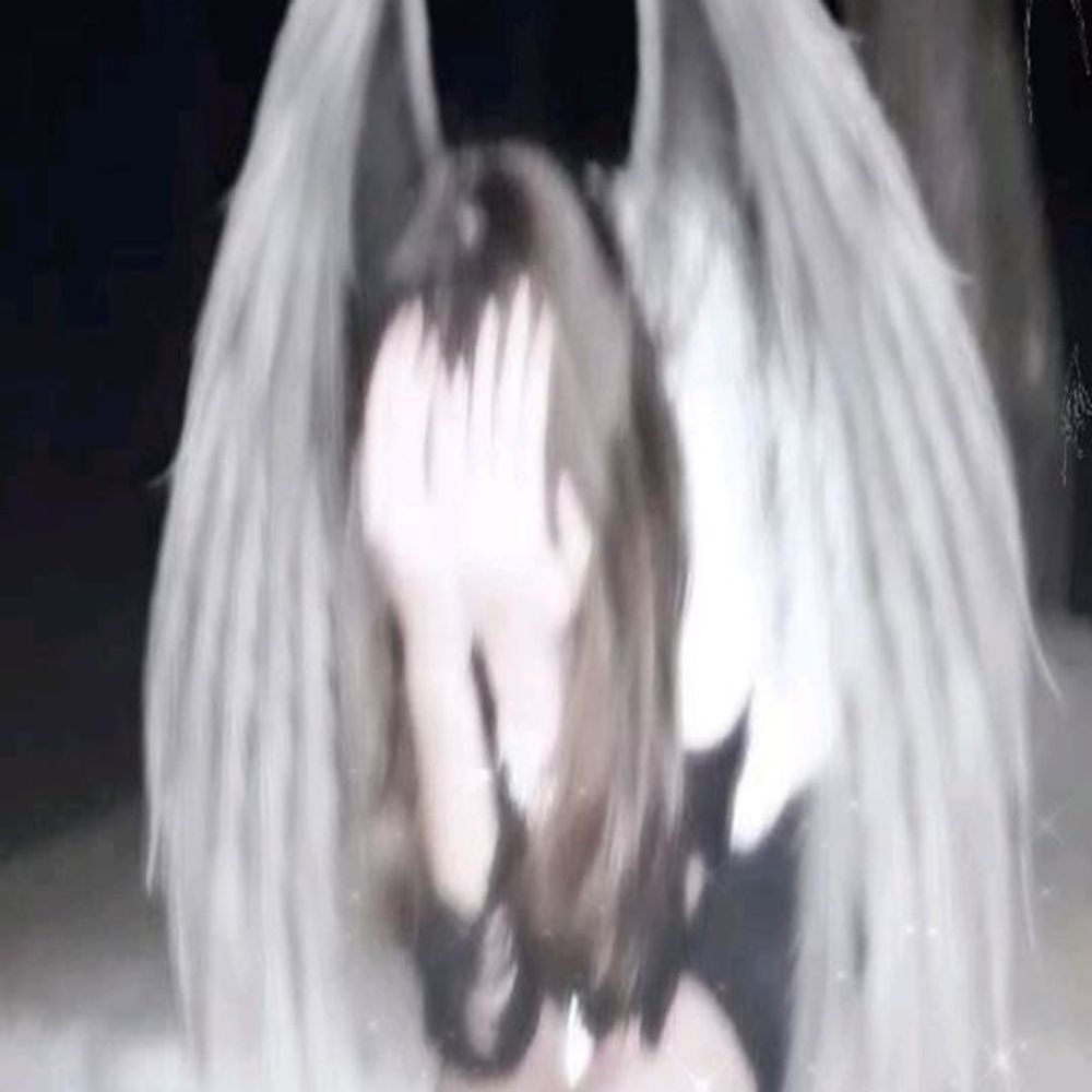 ☆》Evan《☆