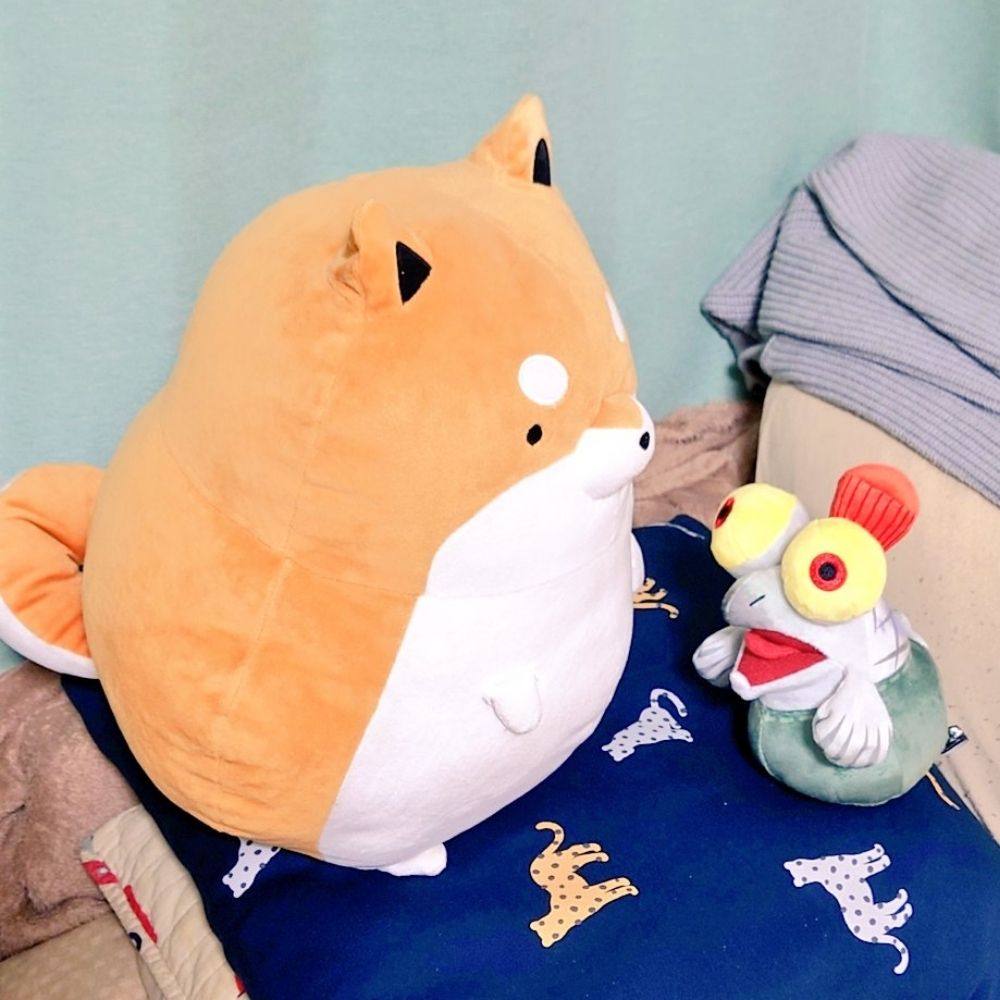 イサキの秘密基地