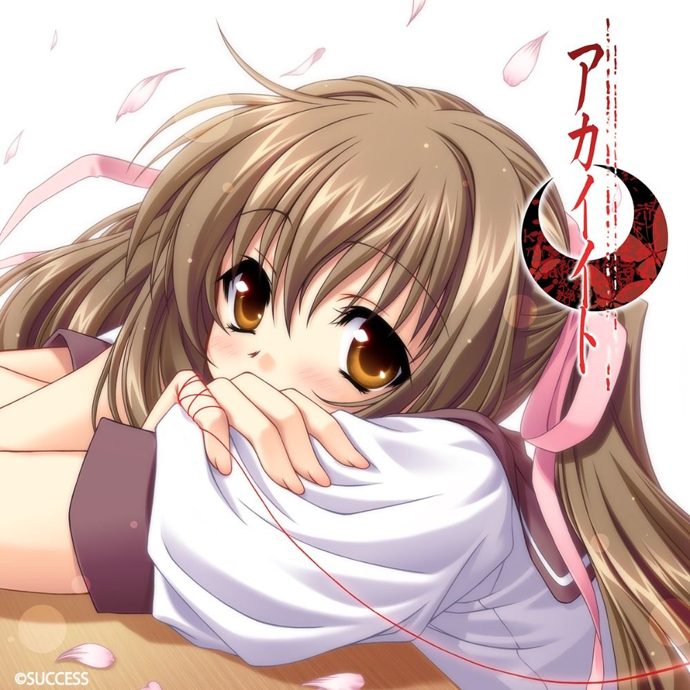 羽藤桂