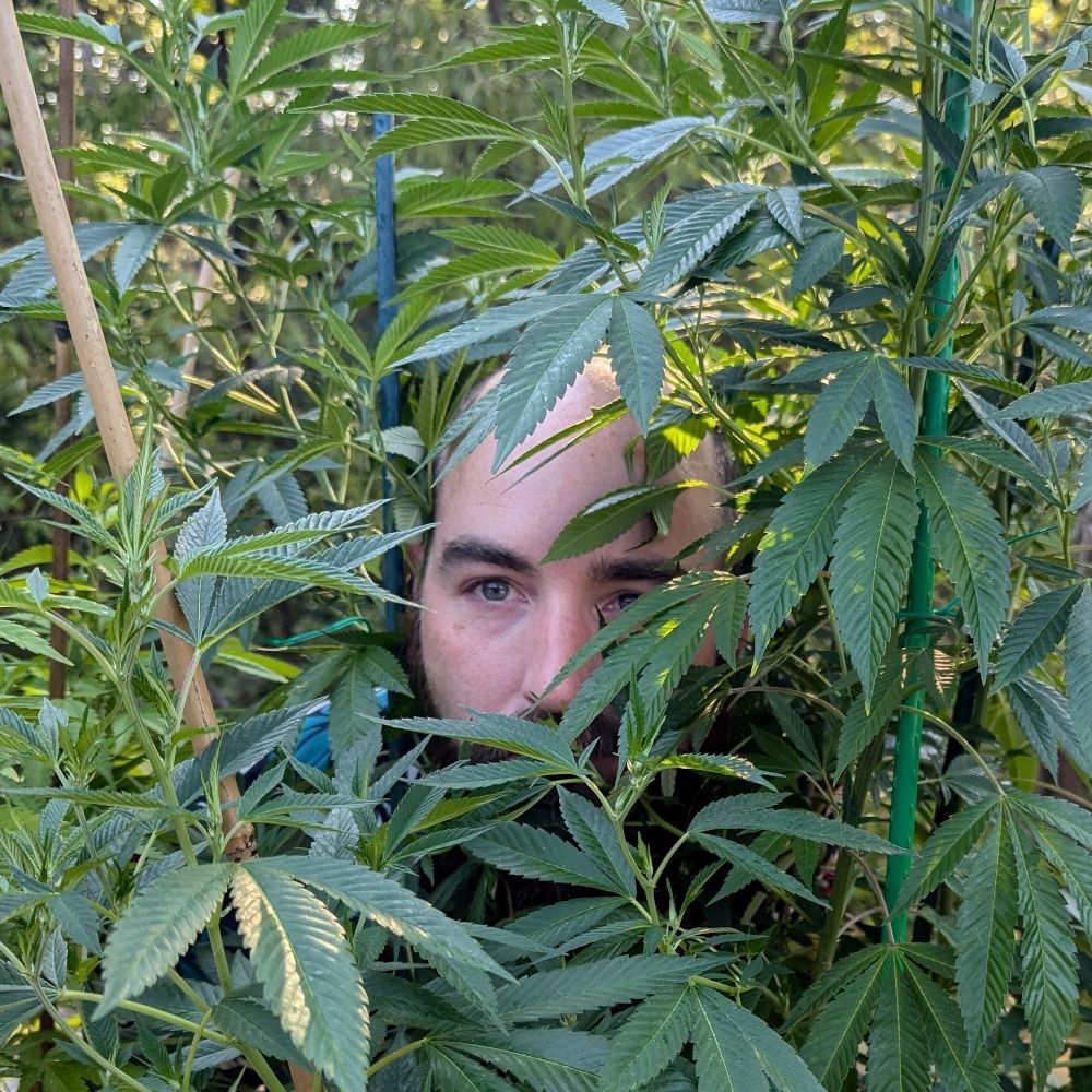 Tom