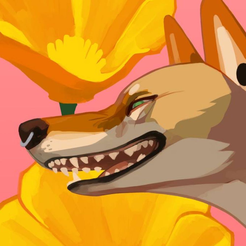A Real Live Jackal