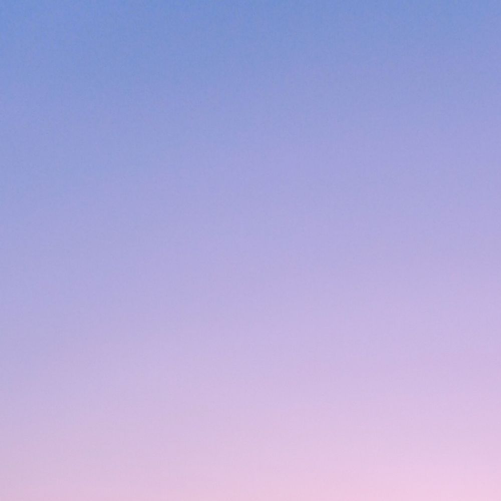 海木