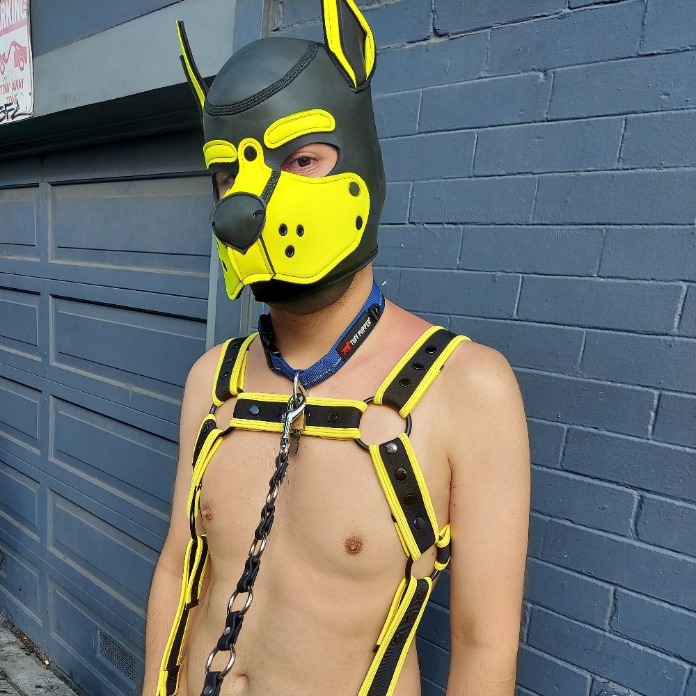 Pup Doss