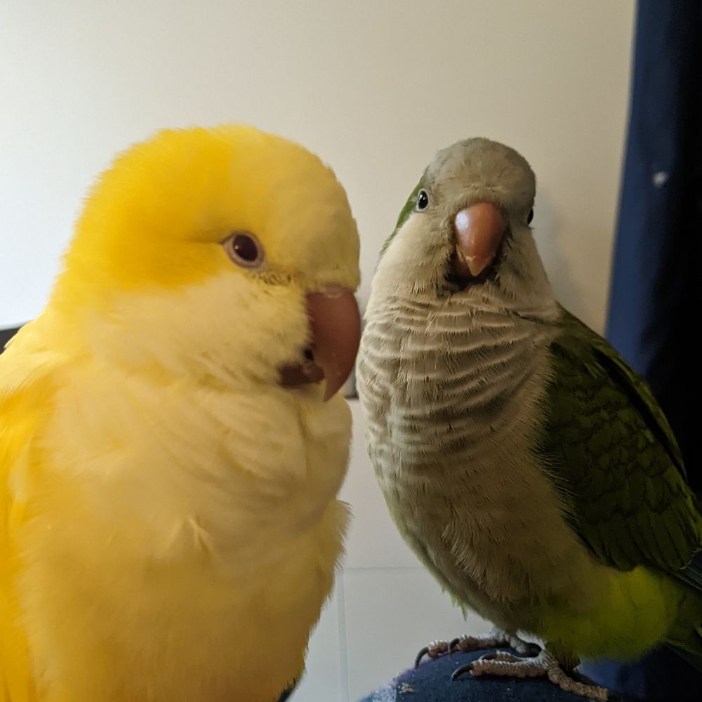 Vale