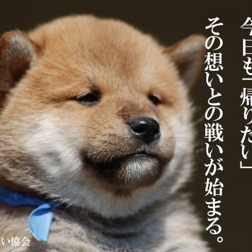 どらごんけんた