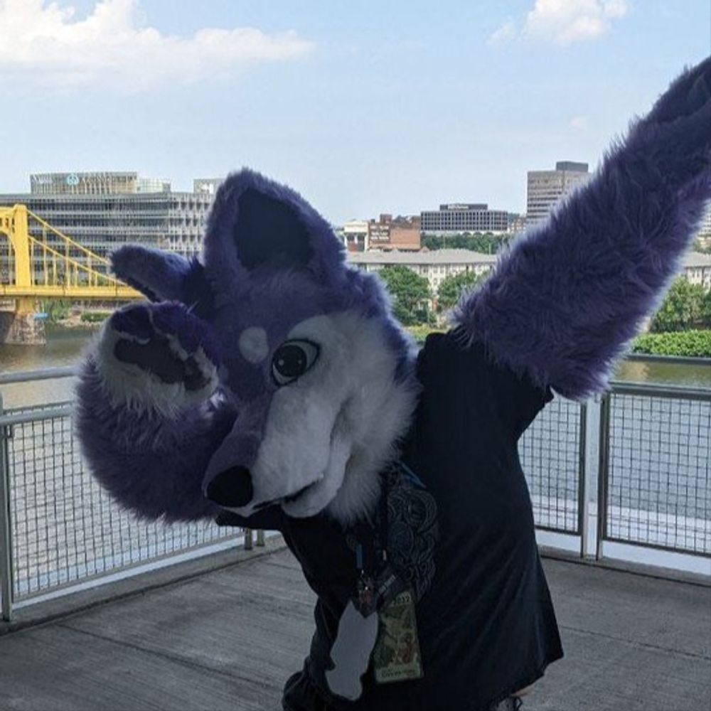 Chris The Husky