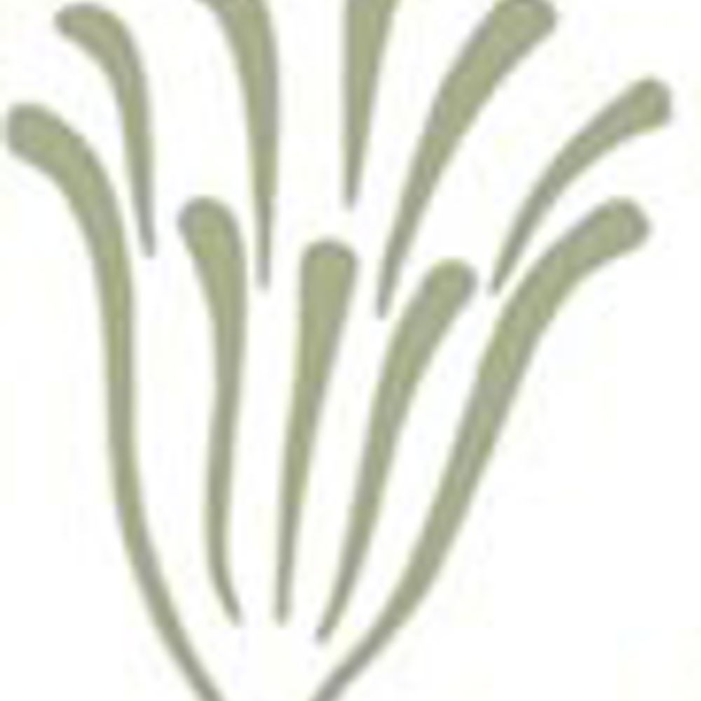 International Bryozoology Association