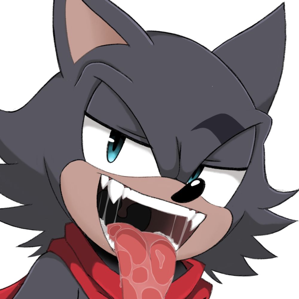 Spark The Wolf