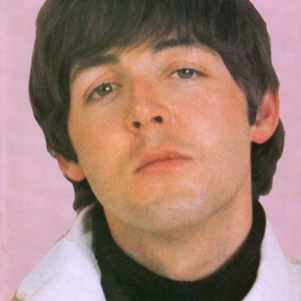 daily paul mccartney 𐙚