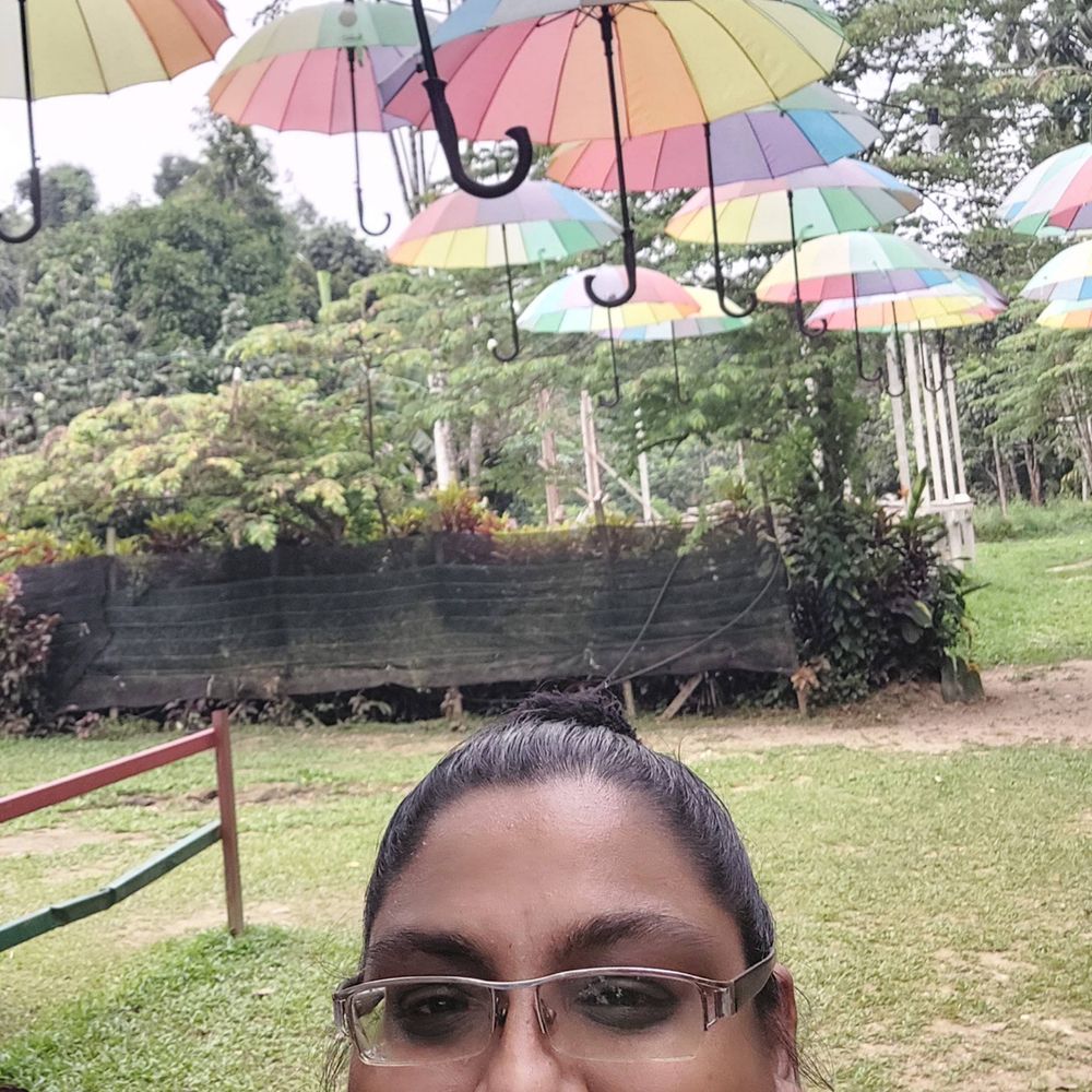 serendipitysees.bsky.social