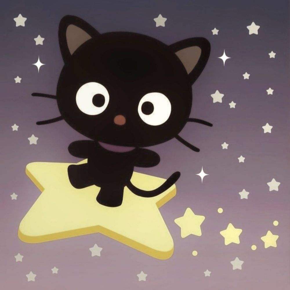 /ᐠ｡ꞈ｡ᐟ\*☆°.✧*