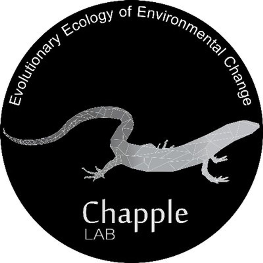 David Chapple