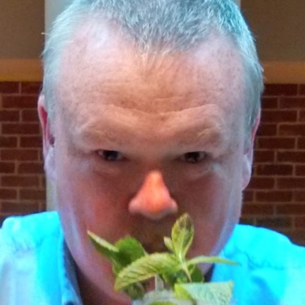 Alun Taylor