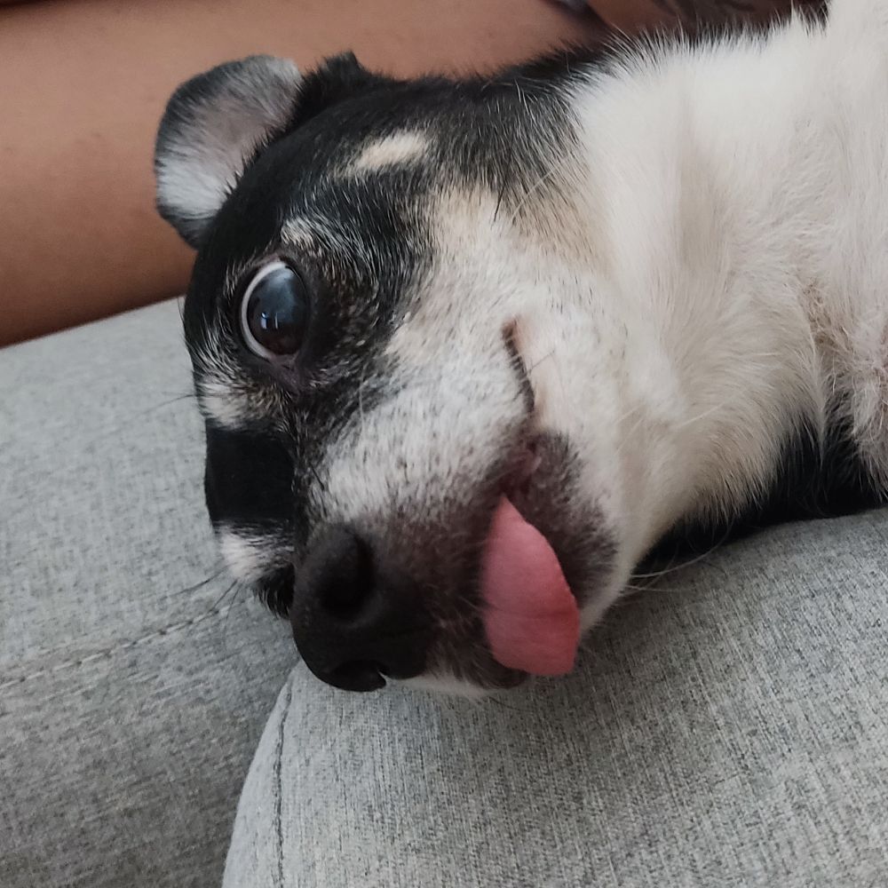 Tia de Maitê 