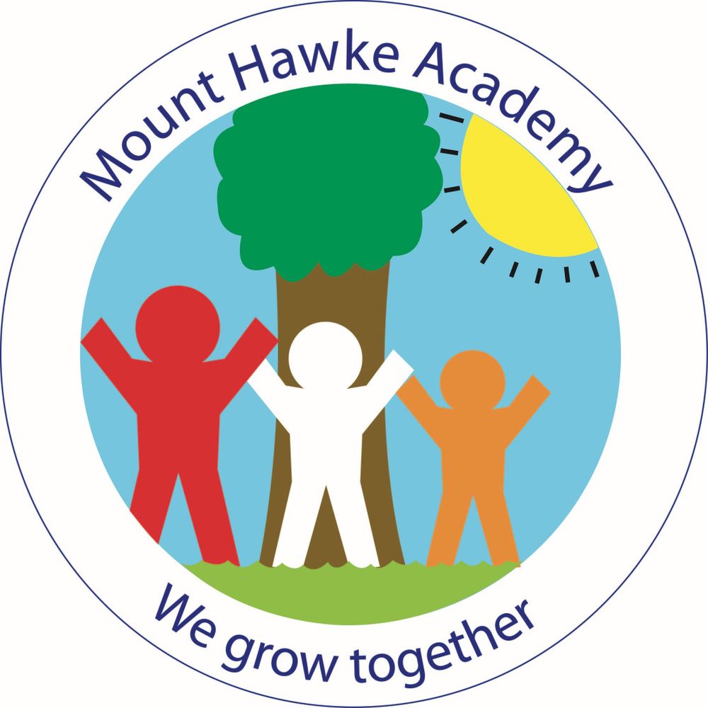 Mount Hawke Academy