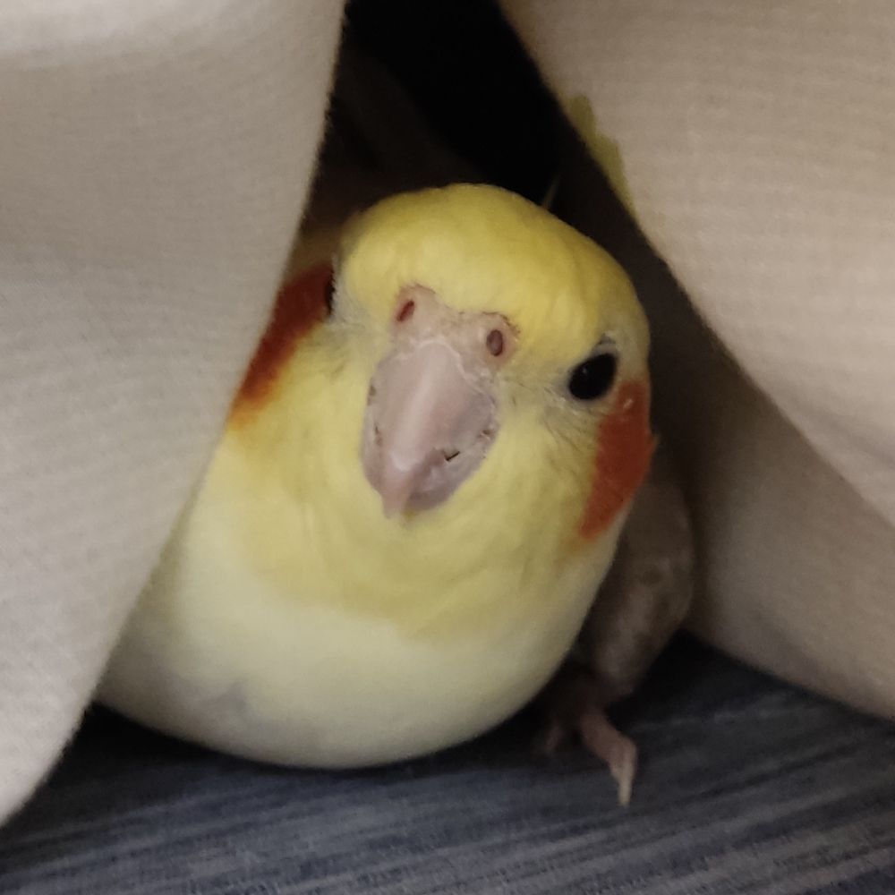 狂人