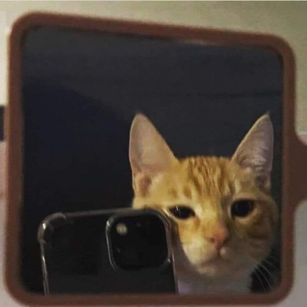 Boo_966