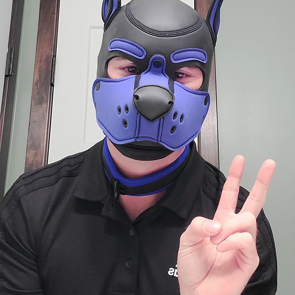 Goodboi C