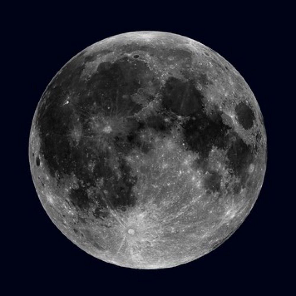 -🌙Moon🌙-