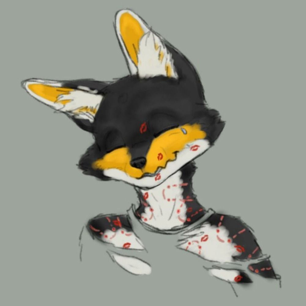 Skade 