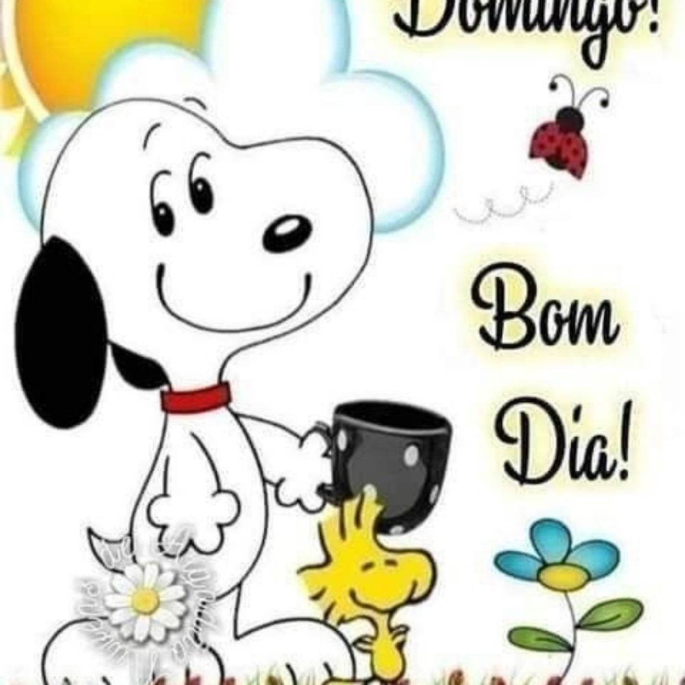 luzinho💡tentando ganhar massa magra 