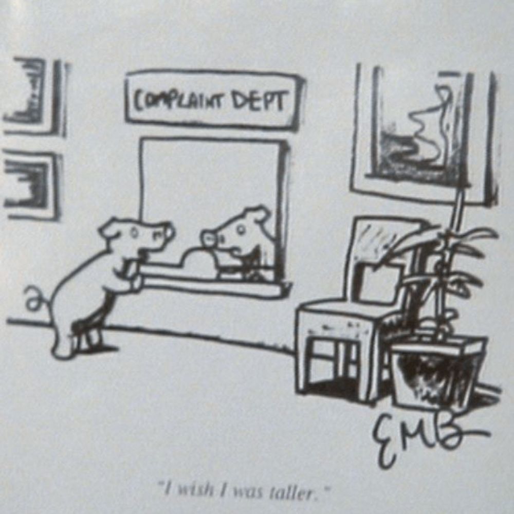 Complaint Department