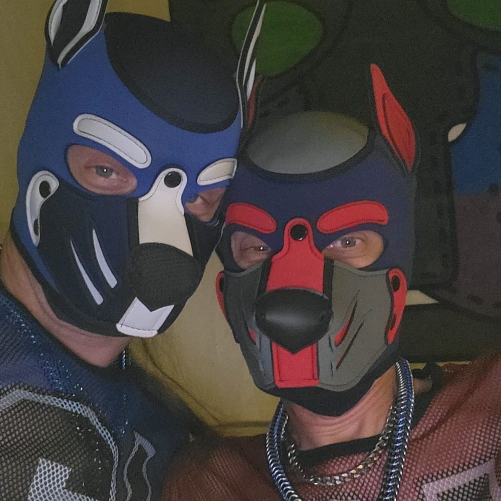 Profile picture dieselpup75.bsky.social