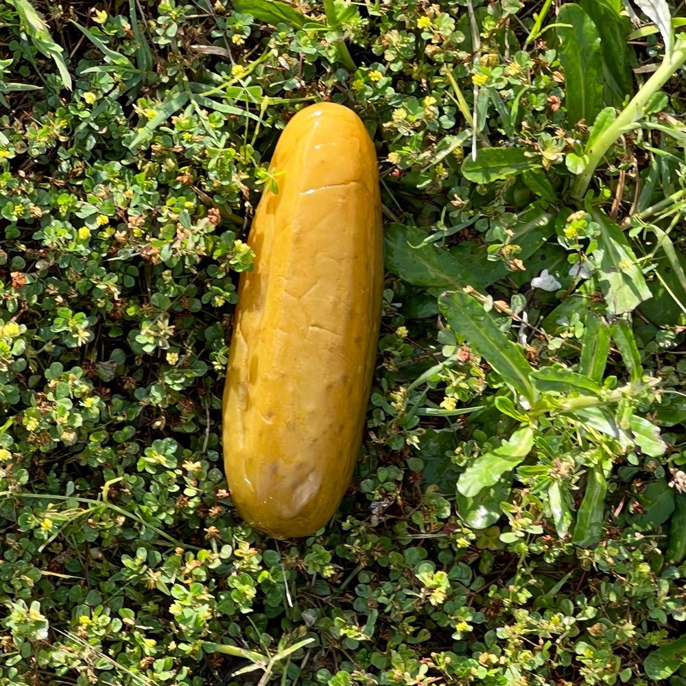 B🥒