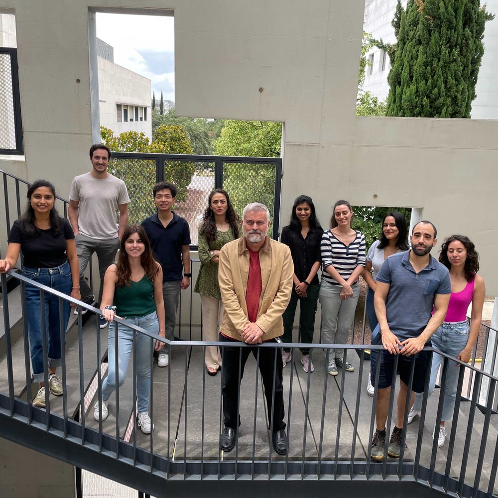 ICN2 Novel Energy-Oriented Materials Group (NEO-Energy)  
