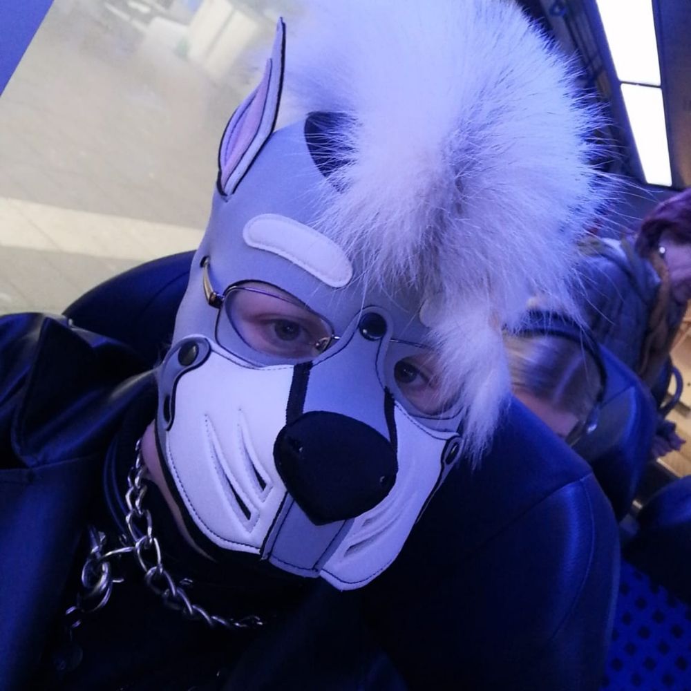 Puppy_ceres