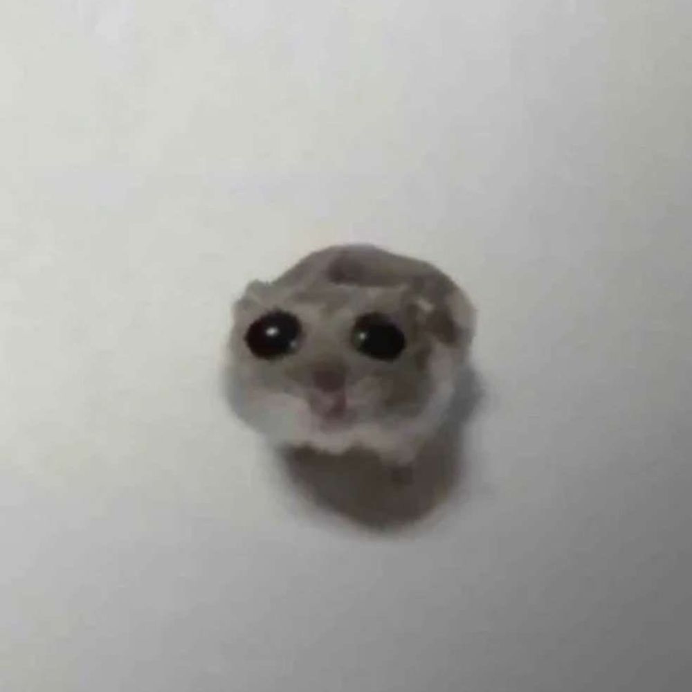 HuppyPuppy
