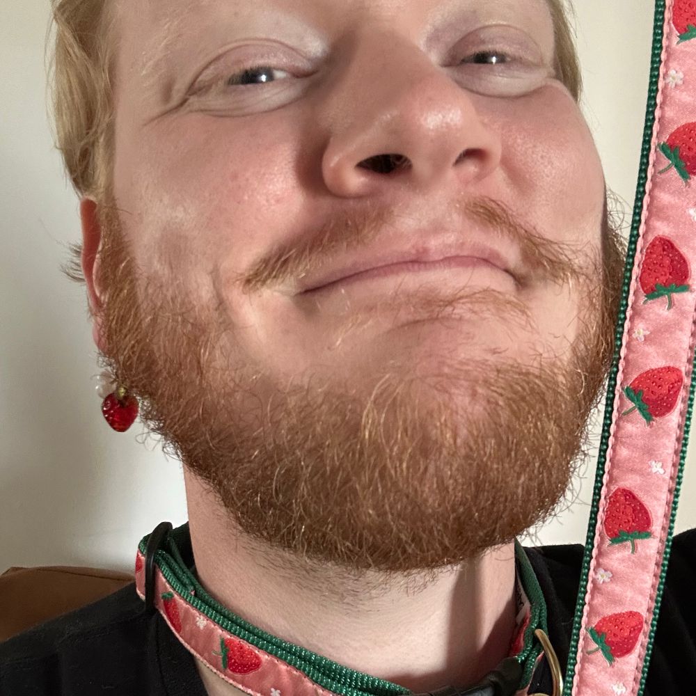 thestrawberrypup.bsky.social