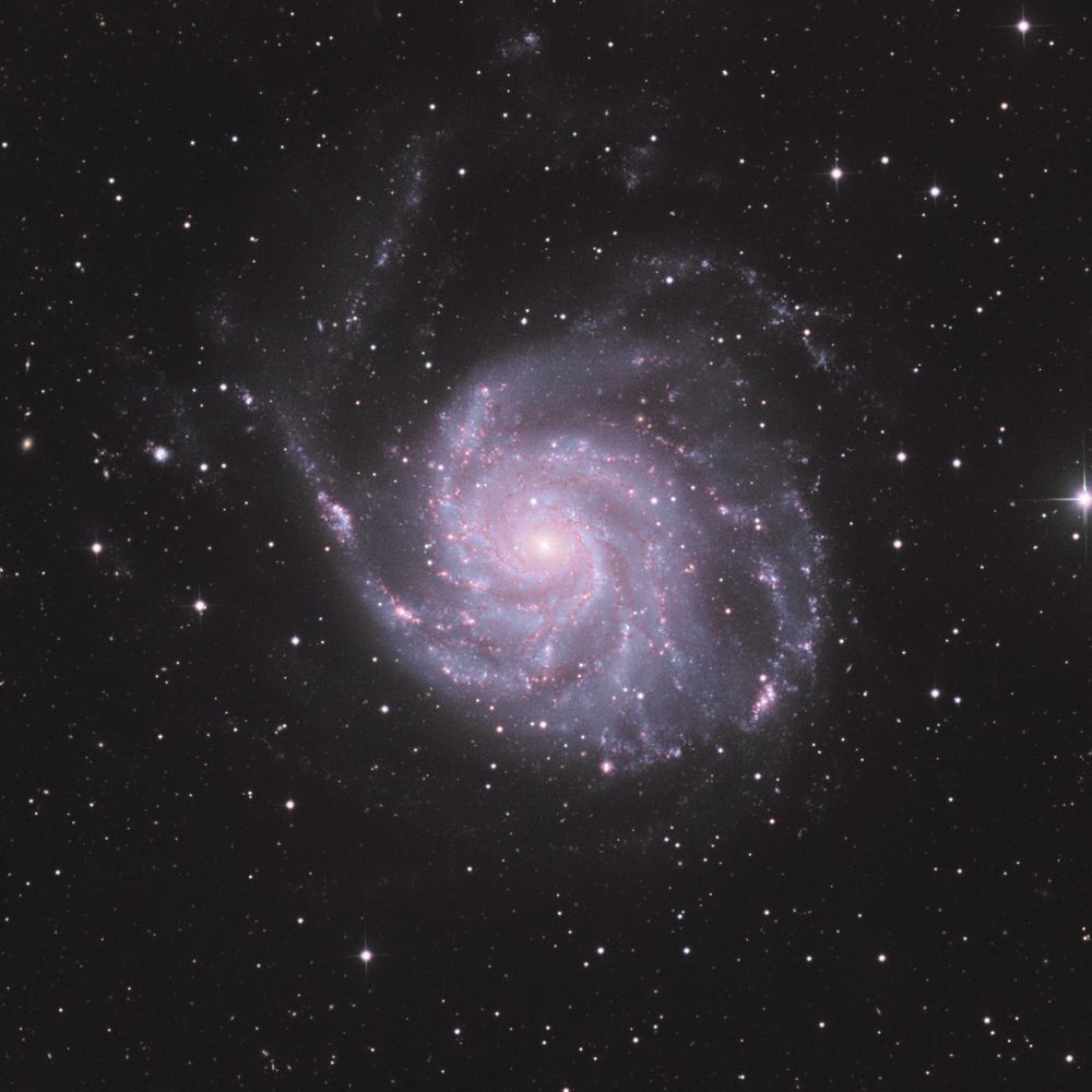 Dyonis Photos 