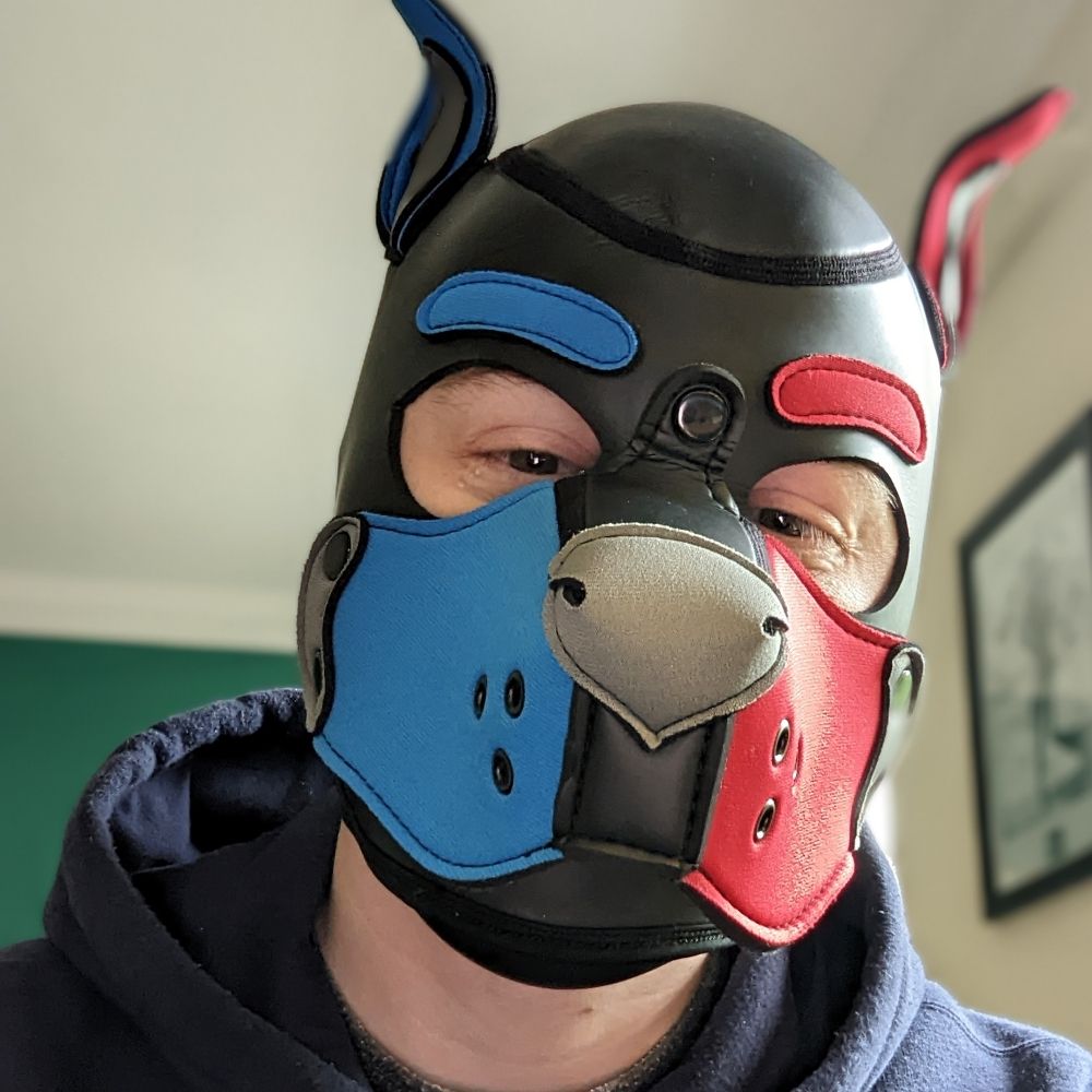 Pup Switch